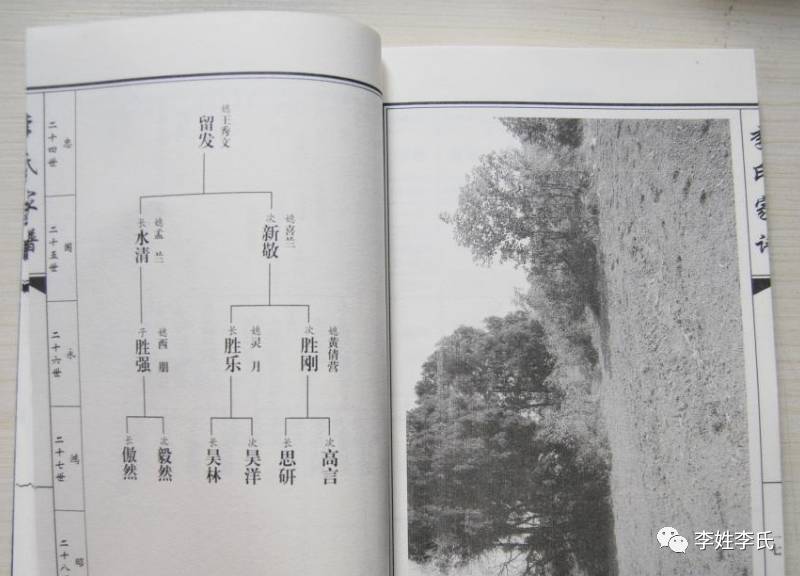 宜阳白杨漫流李氏家谱新郑市裴李岗李氏族谱太康李氏族谱周口李氏家谱