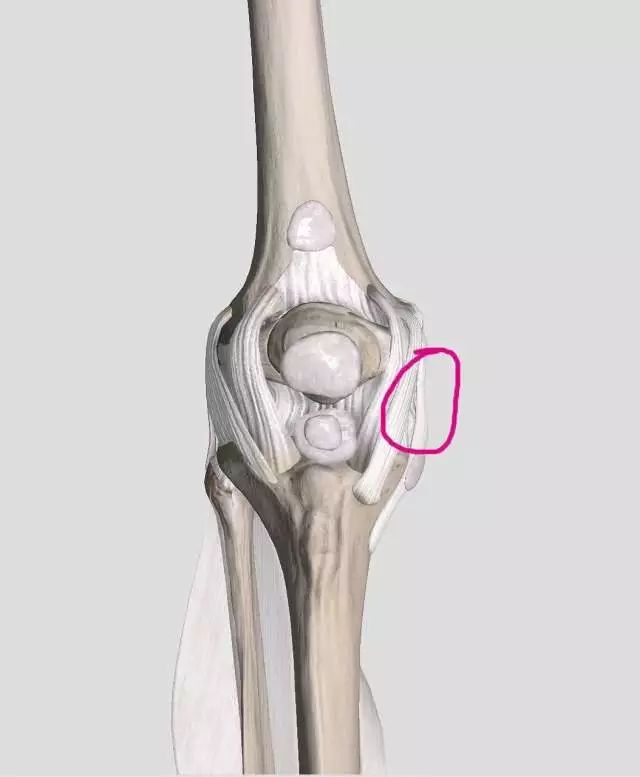参考链接 鹅足炎 通常外伤可能导致内侧韧带损伤,有过髌骨外脱位