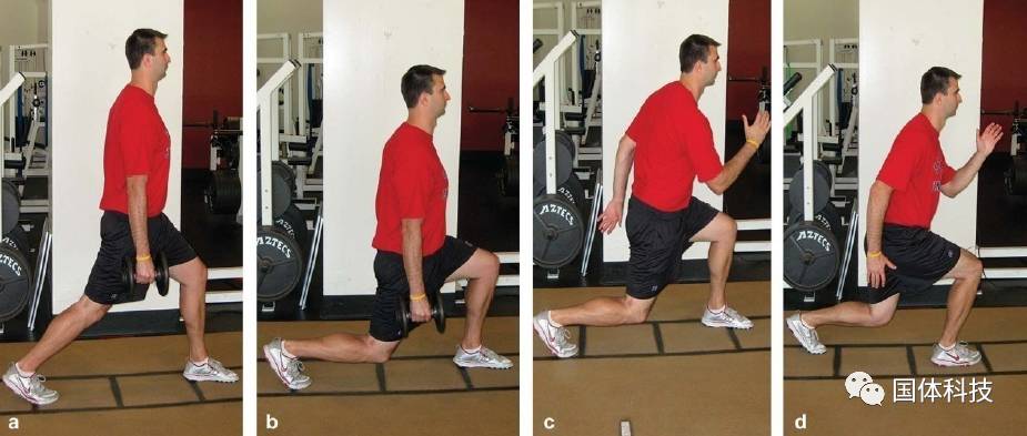 complex pair of split squat and jumping lunge圖2 啞鈴負重弓步蹲