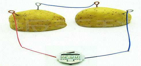 土豆内部的含水量也很高,对插进去的活泼性有差异的金属具有电解化学