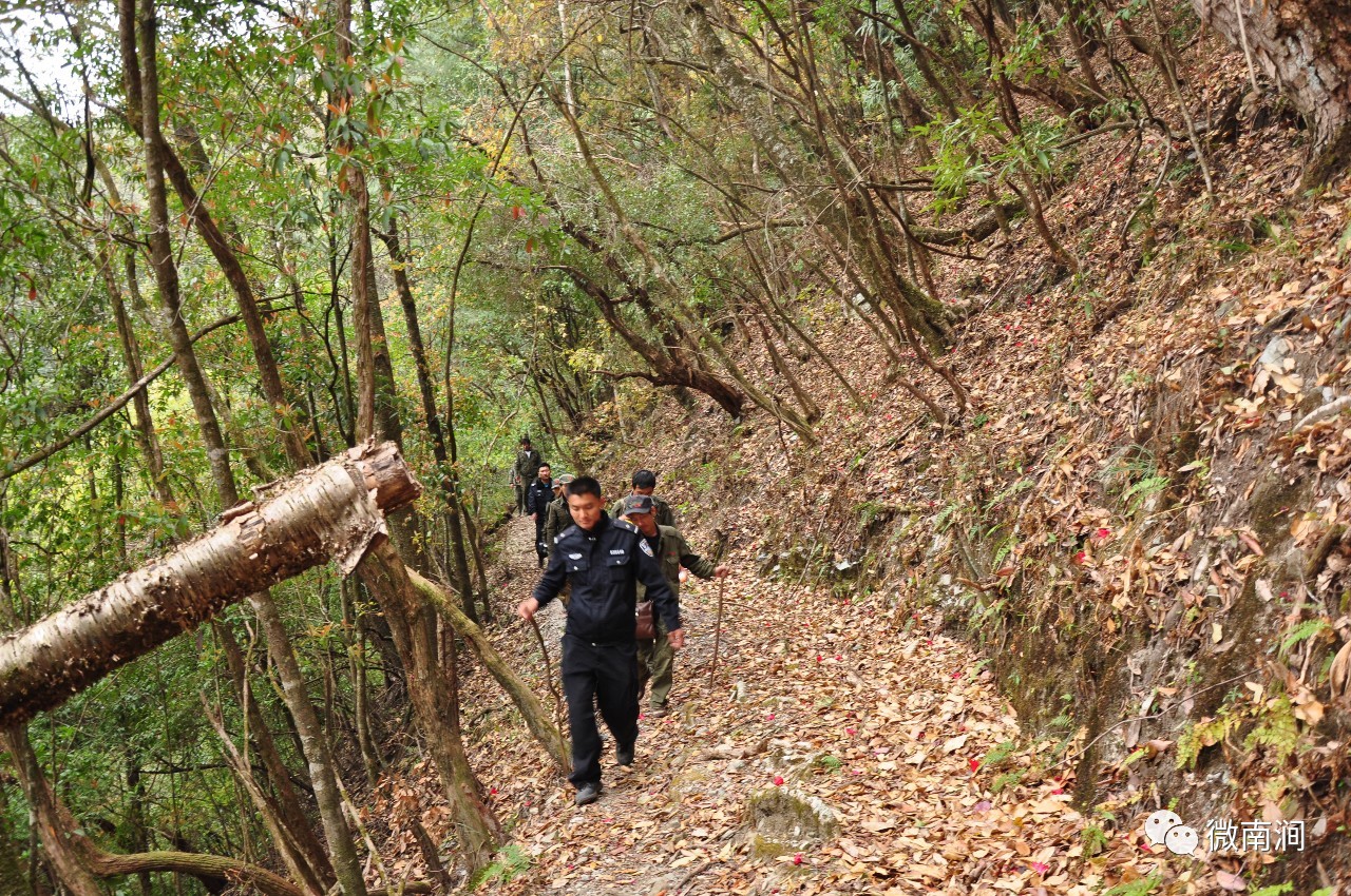 為了無量山中的那片綠記南澗縣森林公安局無量山自然保護區派出所