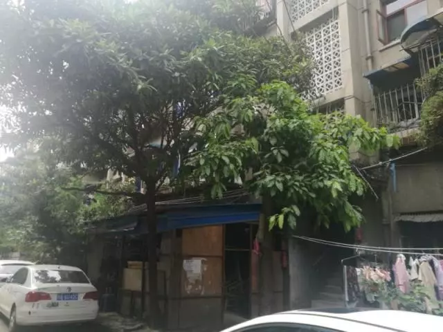 南临九里堤中路52号院,河滨苑小区,东临府河,西邻九里堤中路,位于九里