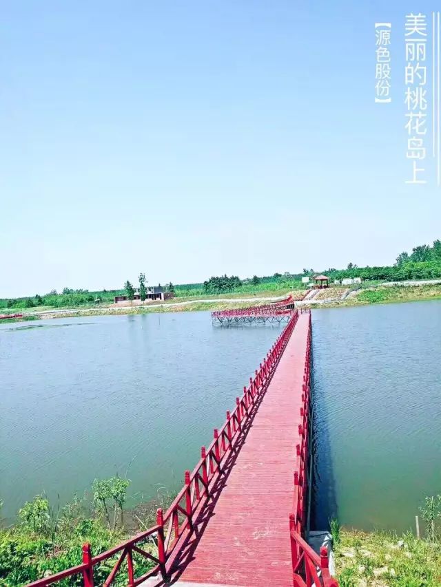 汝南吴四毛生态园照片图片