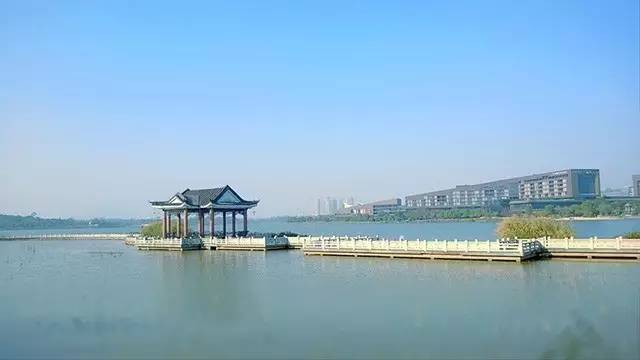 虎门滨海公园图片