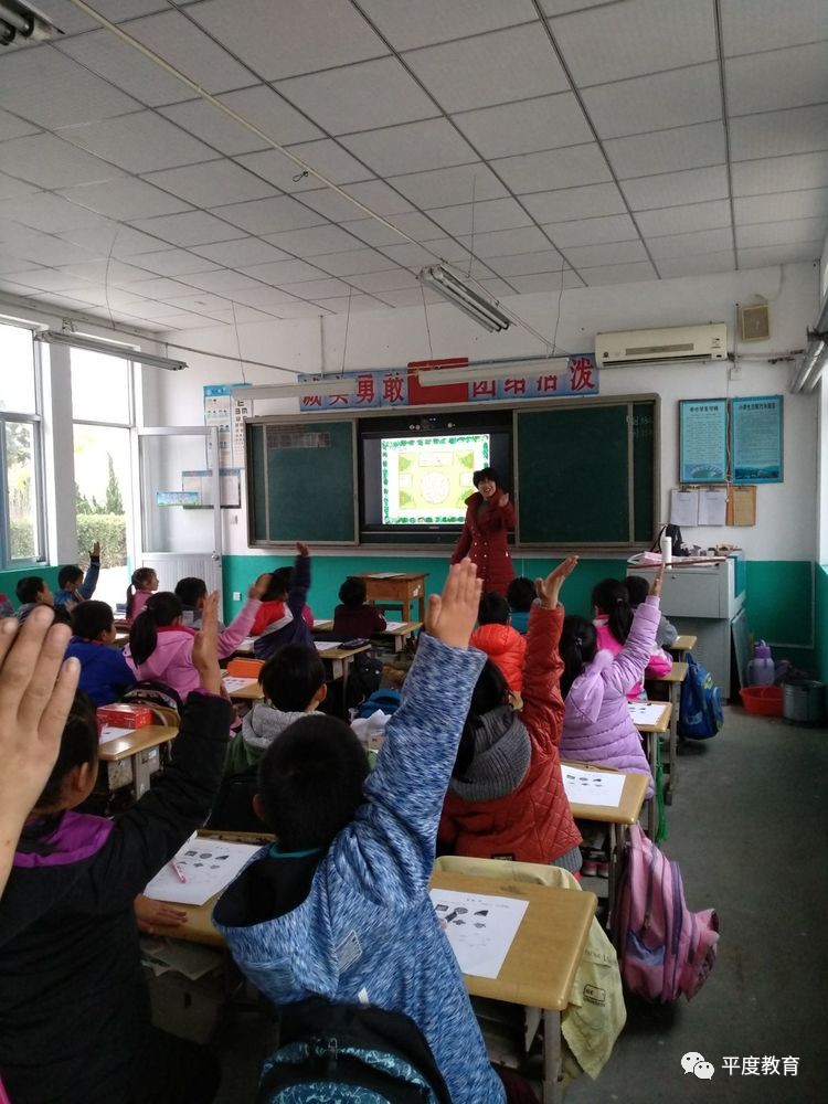 跨区域合作办学!青岛太平路小学与平度宅科小学