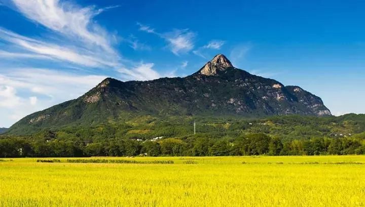 岳西大家寒冰的诗下司空山