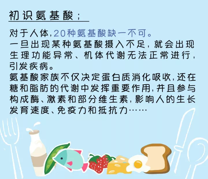 并逐渐认识了庞大的氨氨基酸家族:人体常规需求的氨基酸有20种,其中8