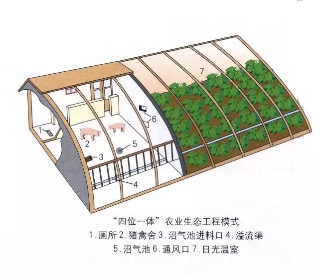 十個生態模式被重點推廣