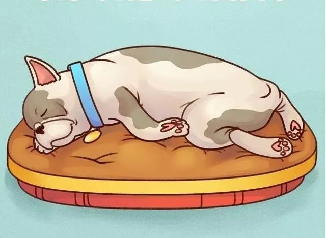 睡觉的狗狗卡通图片
