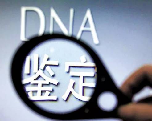 dna親子鑑定大概要多少錢