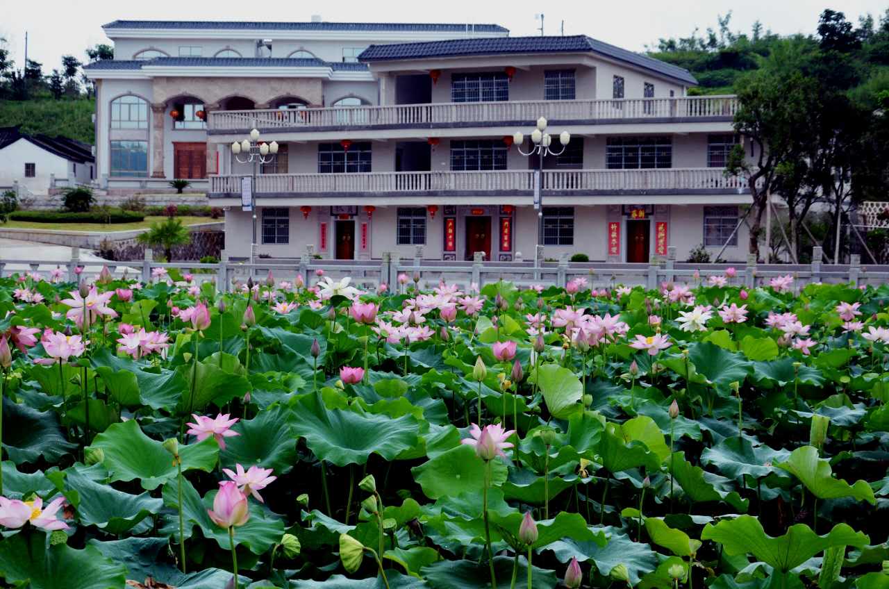 阴那村毗邻南飞茶田旅游度假村和雁鸣湖度假村,是灵光寺,阴那山旅游