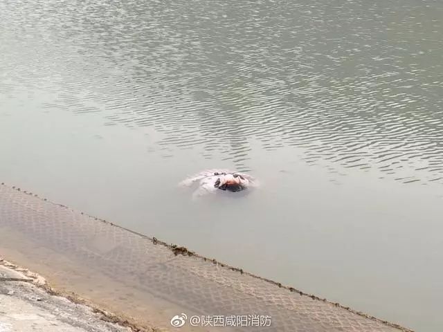 淳化县甘泉酒店对面湖里发现一具女浮尸