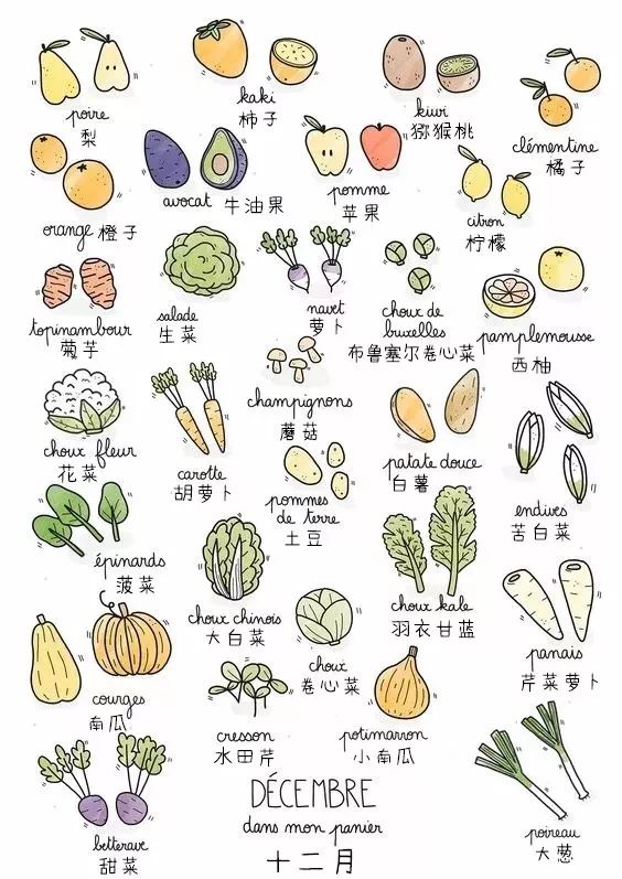 蔬菜的蔬怎么组词图片