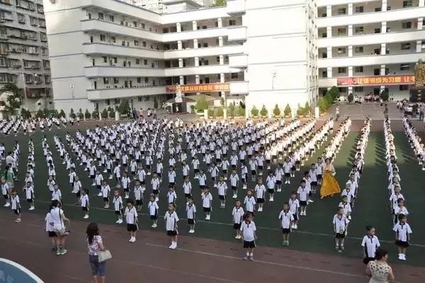 德阳市庐山路小学广元市利州区北街小学遂宁市河东实验小学校宜宾市