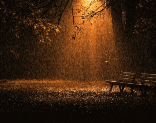 浪漫唯美下雨动态图片图片