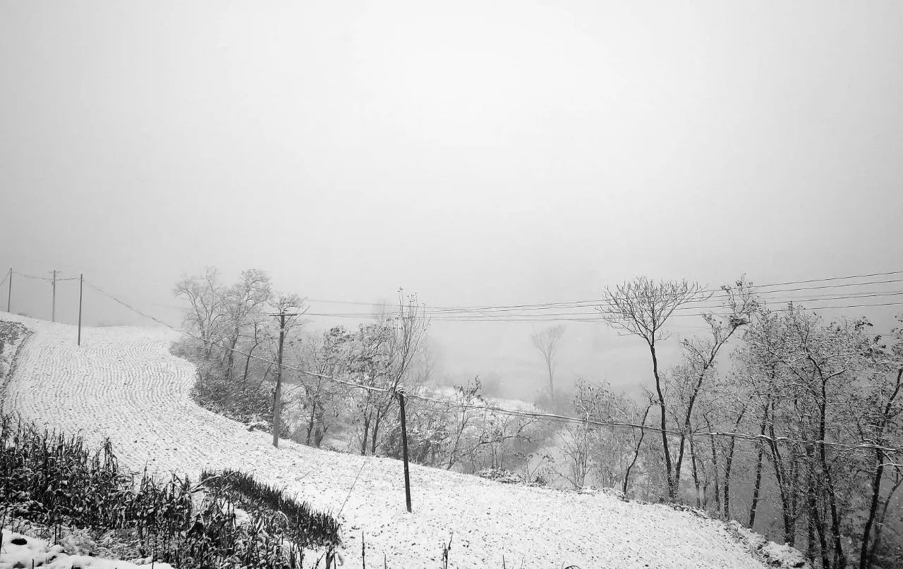 美哭了河南多个城市都下雪啦快来看雪景濮阳啥时候下