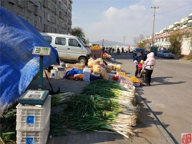 招遠城北市場這兩口子,靠賣西瓜大蔥在城裡買車買樓!