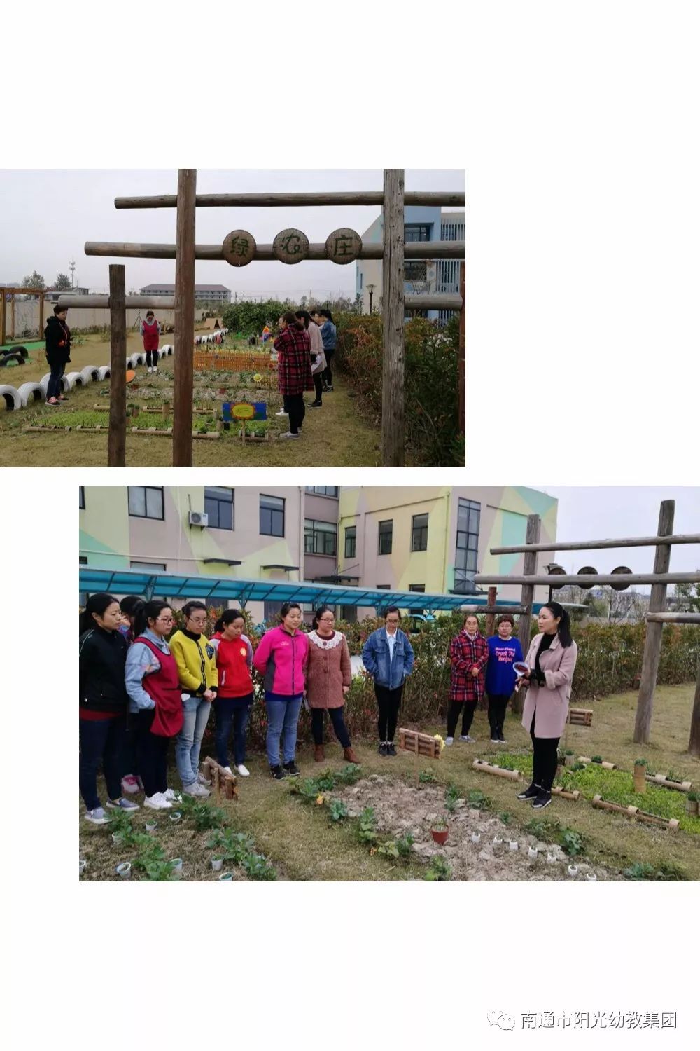 轉角遇見一抹綠記通州區金泰幼兒園自然角種植區評比活動