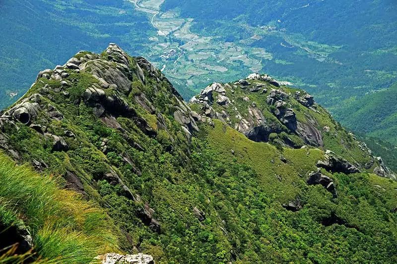 潭,明月山,武功山,湖南大圍山,幕阜山,大雲山,五仙山國家森林公園等紅