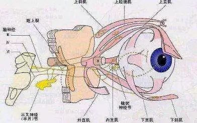 冷热试验的眼震电图图片