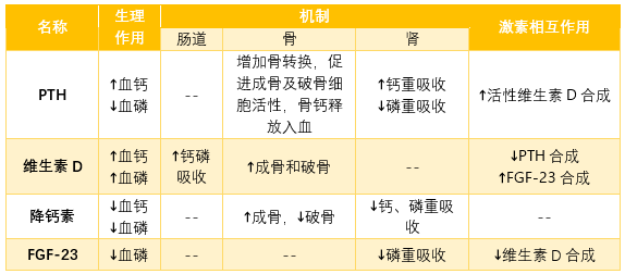 傻傻搞不懂的鈣磷代謝朝花夕拾協和八