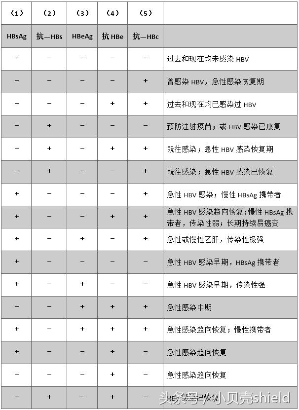 乙肝二对半检测报告的超全解读——8分钟学会!速度学起