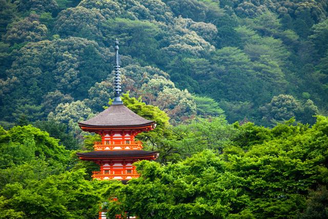 跟著趙麗穎一起遊日本京都享受浪漫風情看千年古老清水寺