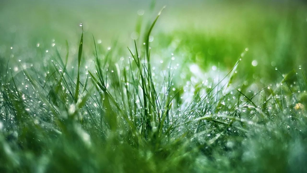 一半寒风一半冷雨