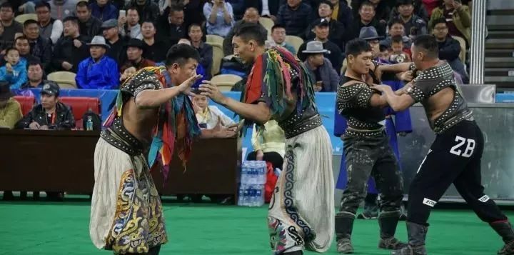 【今日看点】查干扎那夺得金腰带冠军