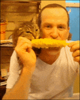 啃玉米表情包gif图片