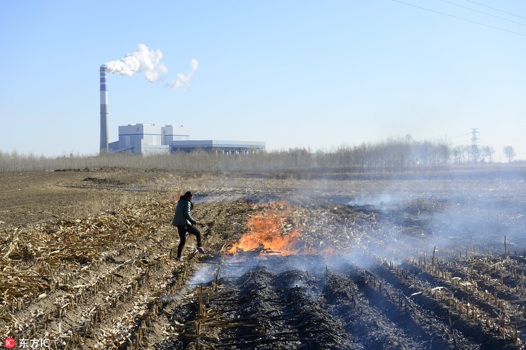 资料图:2015年10月,吉林白城交通村农民进行秸秆焚烧