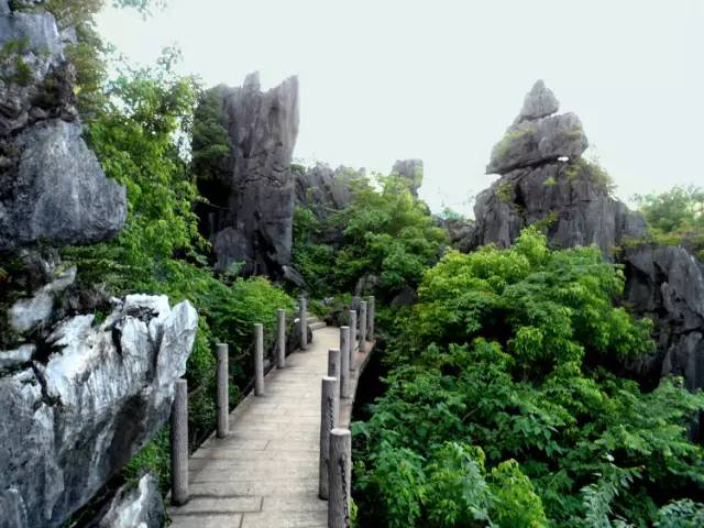 永安桃源洞,鱗隱石林,連城冠豸二日遊