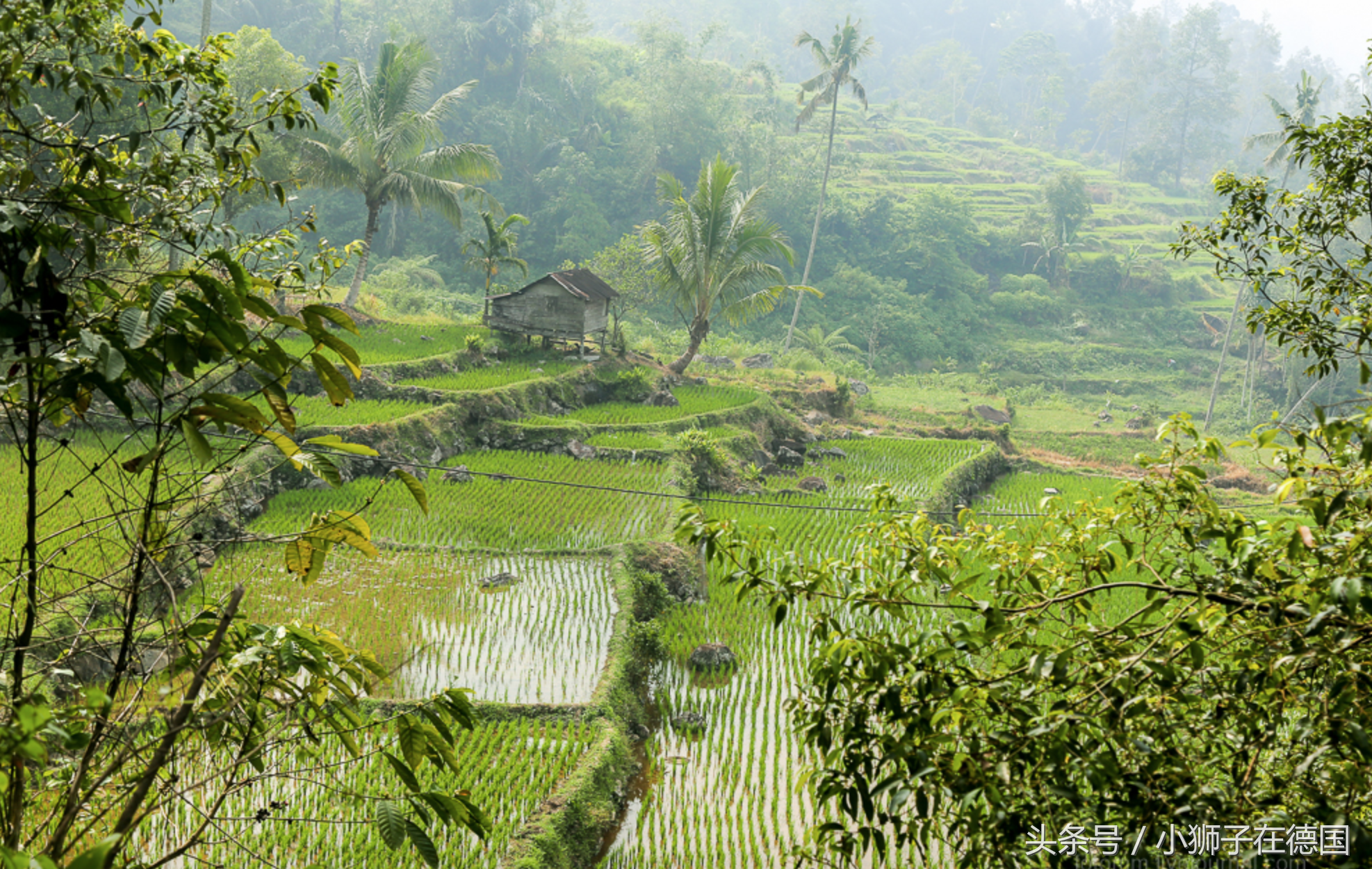 充满异国情调的印尼农村,只是生活水平太过低下