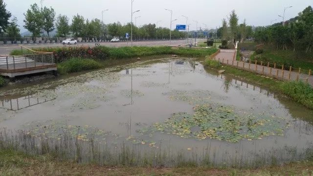 沉砂池等淨化設備,對雨水進行過濾,消毒等