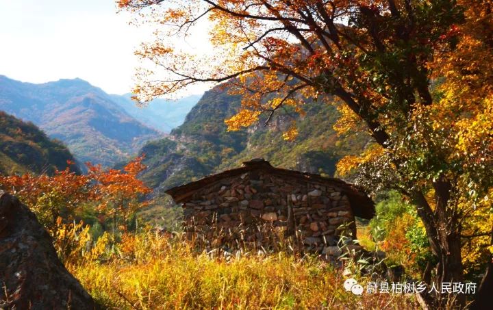 航拍蔚县柏树乡深秋秋景美爆2017年朋友圈