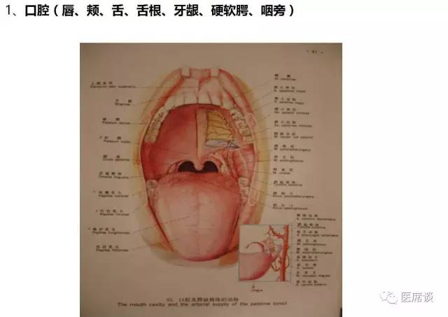 身為口腔頜面外科醫生是什麼感受