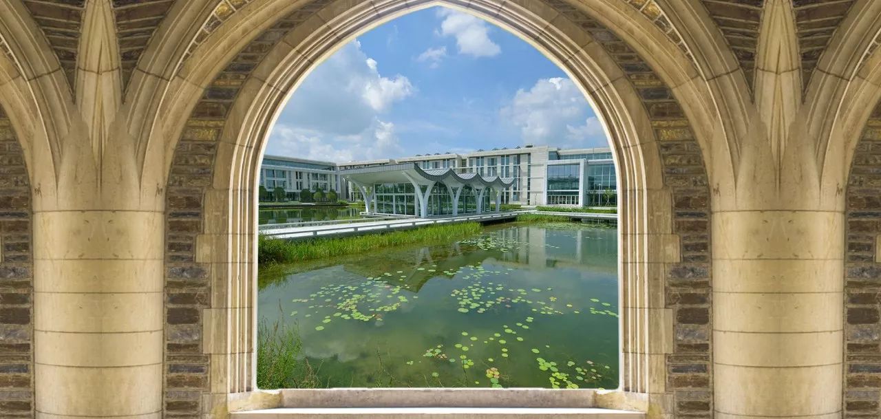 昆山杜克大学背景图图片