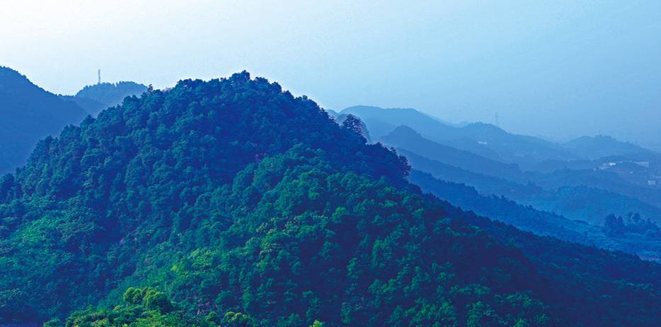 中梁山森林公園