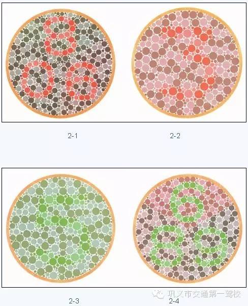 驾照体检视力多少合格图片