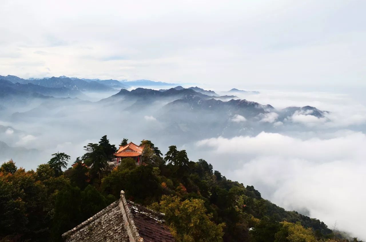 秦岭神树取景地图片