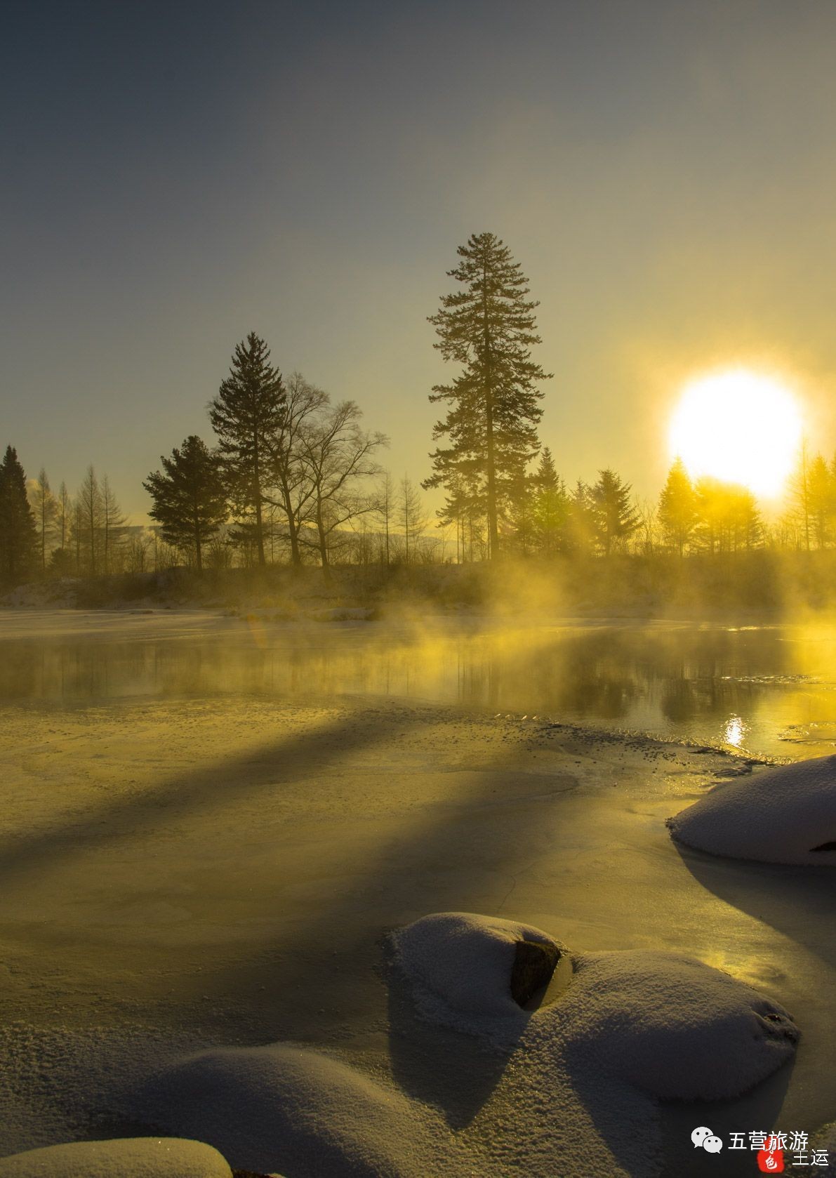 冬季清晨阳光图片图片