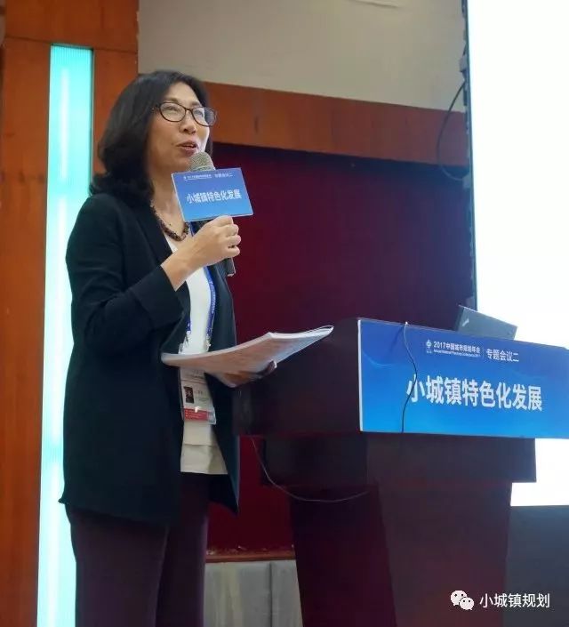 学院城市规划系主任,教授,博导主持人:耿虹学会小城镇规划学委会委员