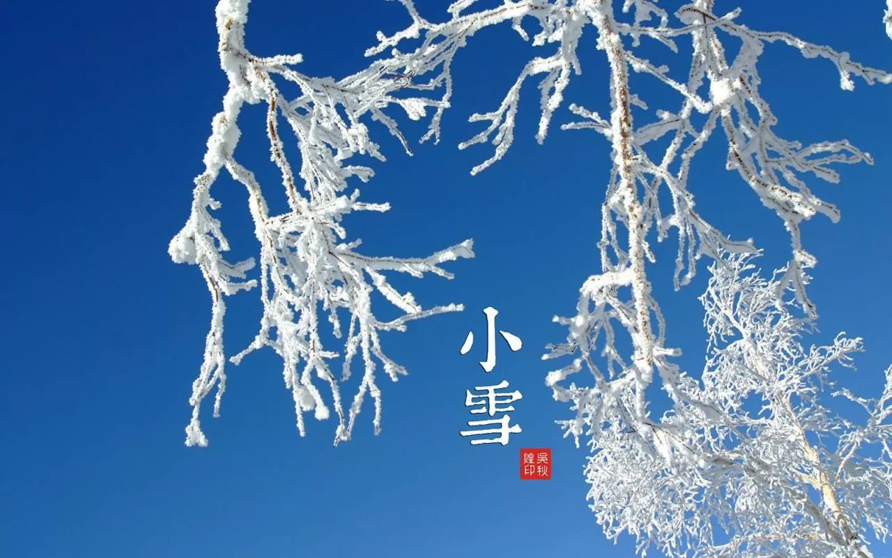 今日小雪 | 絕愛初冬萬瓦霜,願有人陪你共度