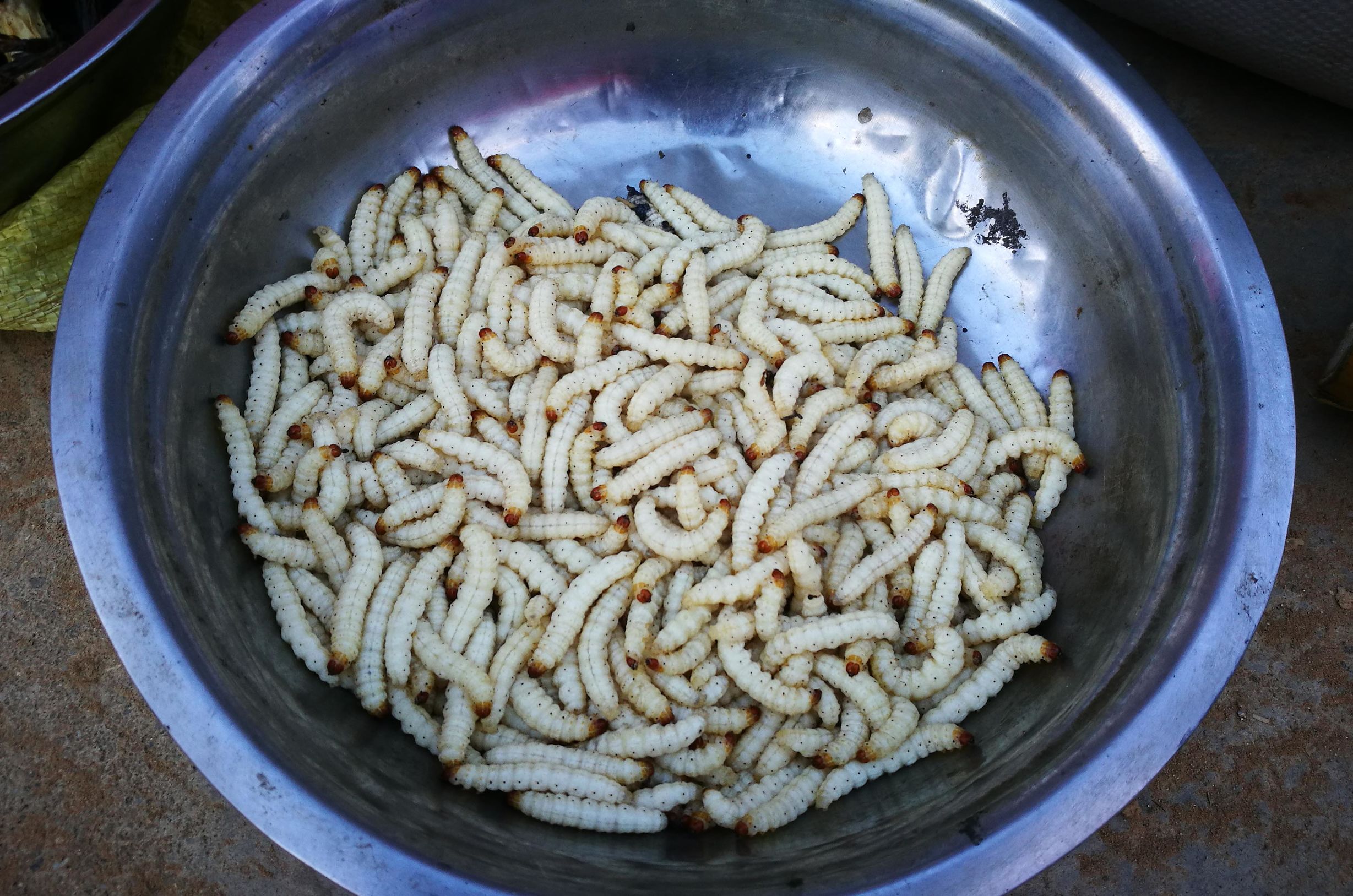 鄉村集市上的佤族美食 不入眼但美味中富含高蛋白