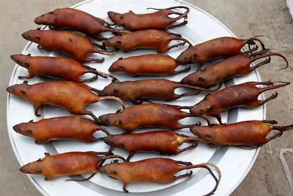 越南的烤老鼠肉深受当地人喜爱你敢吃吗