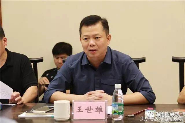 会上,澄迈裕生置业有限公司汇报了项目规划情况,建设情况以及当前项目