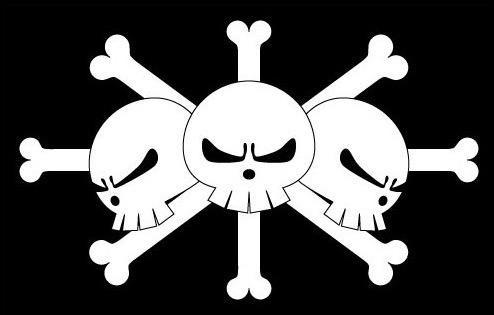 百兽海贼团旗帜图片