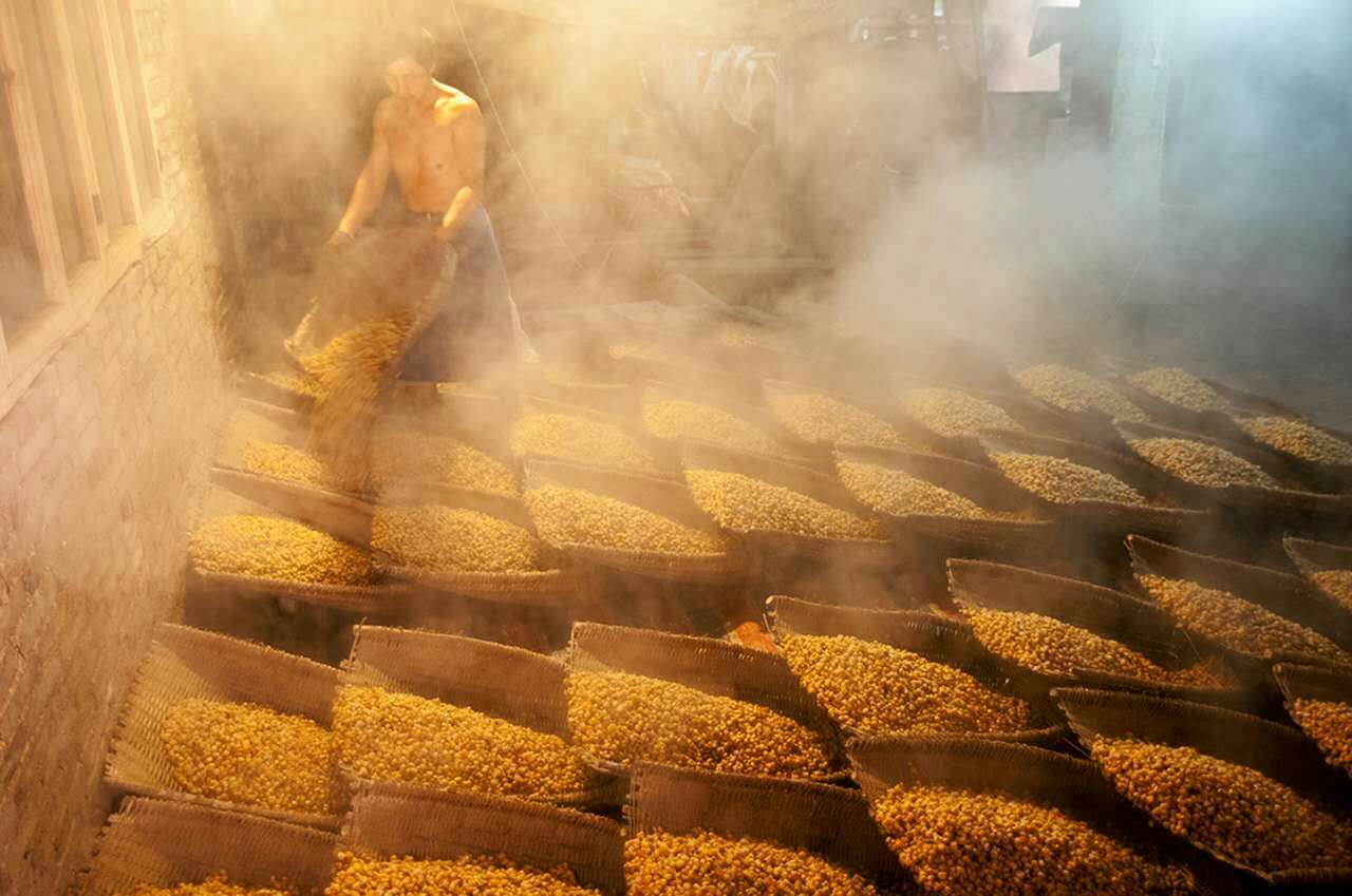 半固态粮食发酵工艺——唐三镜吴月平教你半固态玉米酒的酿制方法