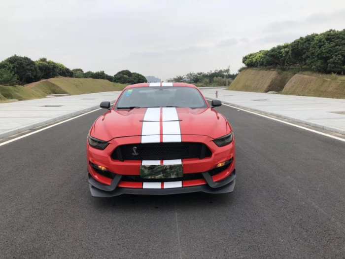 野马眼镜蛇gt350报价图片