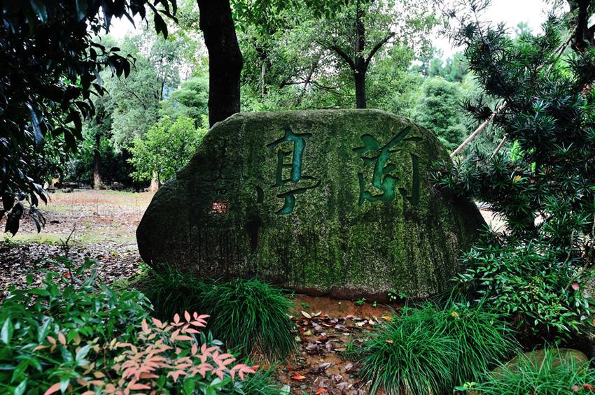 紹興又添一處省級森林公園這些你身邊國家級氧吧你去過嗎